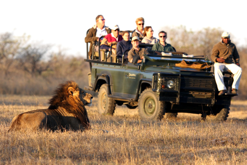 african safari